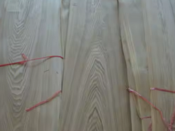 Wood Veneer